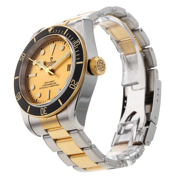 Tudor Black Bay M79733N-0004